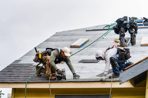 Professional Metal Roofing technician working in Victor, CA